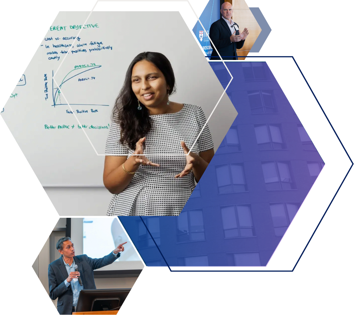 Waiai Faculty Research Partner A collage of three hexagon-framed images shows individuals engaged in presentations or discussions. The central figure gestures in front of a whiteboard with graphs and notes, representing a professional or educational setting.